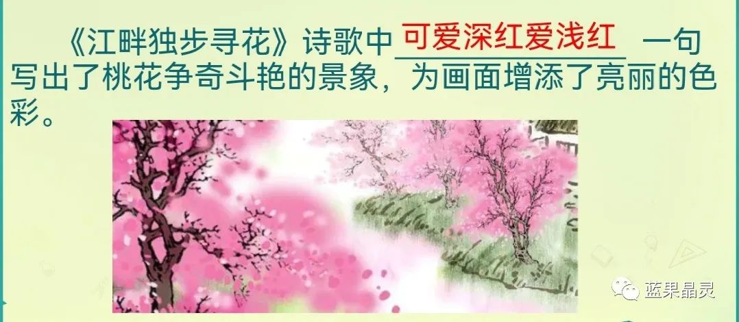 四下语文:第2单元课本内容(复习+练习)