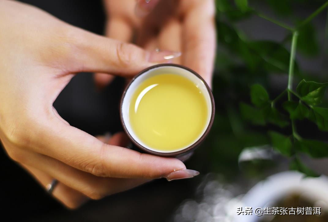 六大茶山普洱茶的特点,古六大茶山的茶叶外形特点