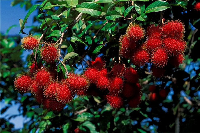 丈夫患癌妻子不离不弃完整版,丈夫癌症富家女不离不弃