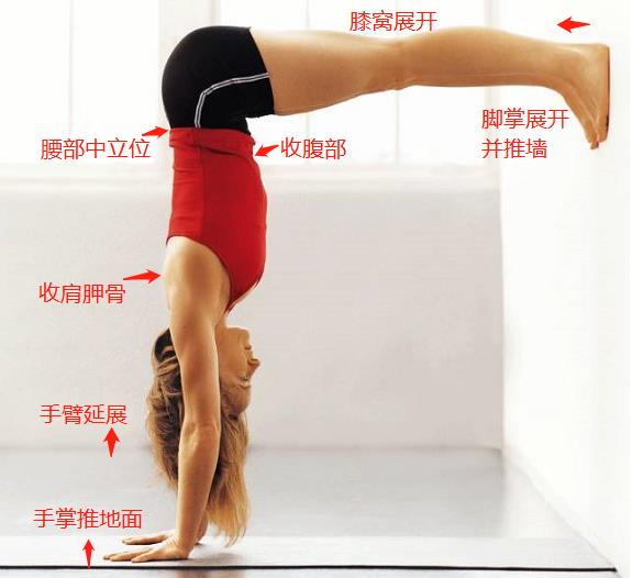 春季鼻炎高发，一组瑜伽体式轻松治愈，增强身体抵抗力