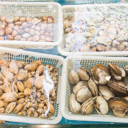 休渔期到了吗,开渔期的广东海鲜市场