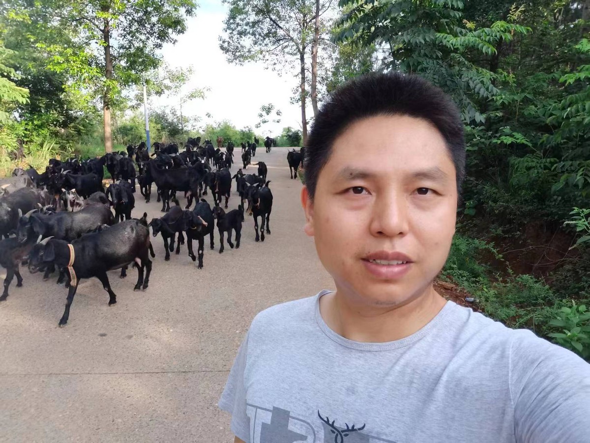 衡南电商达人李元龙：回村羊羊，逆流而上