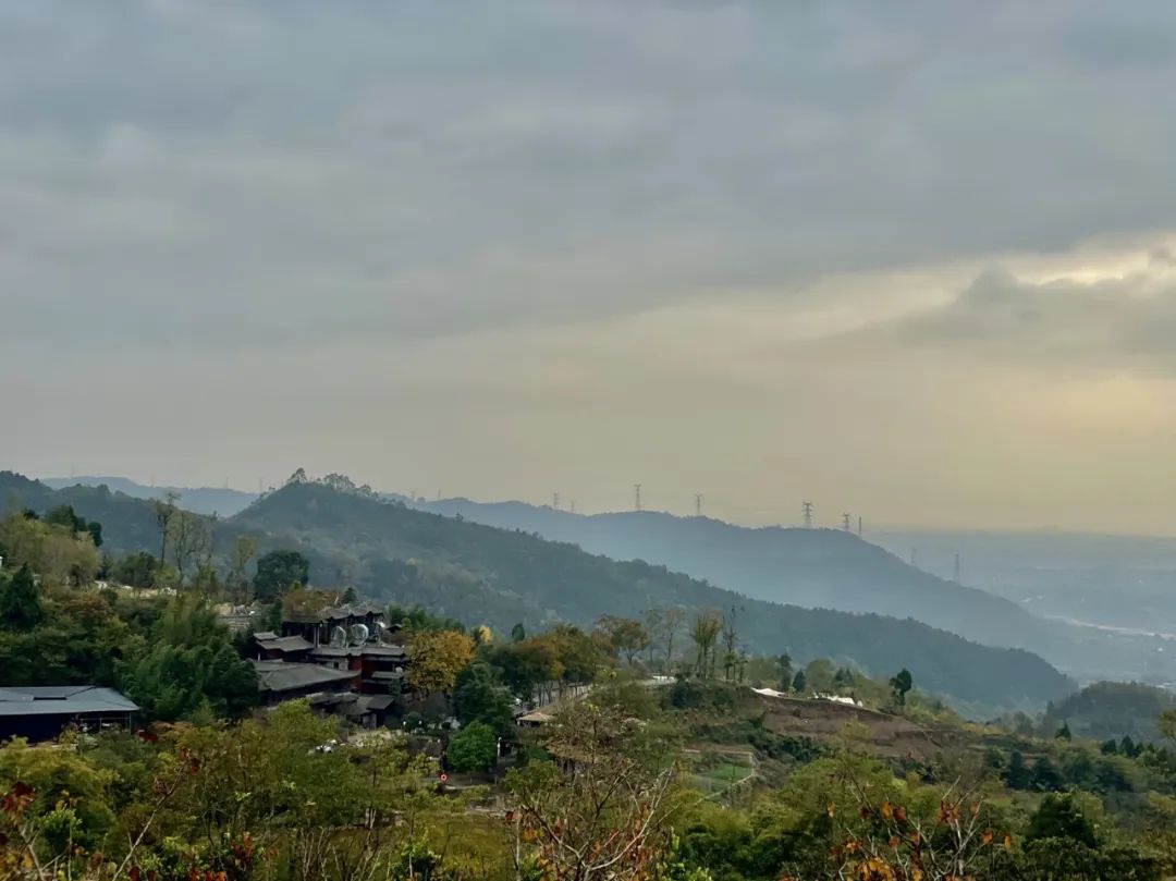 成都旅游豌豆尖,成都仰天窝近郊爬山推荐