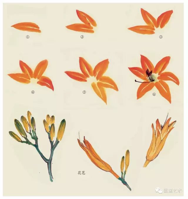 写意丁香花画法,写意鸡冠花的画法教程