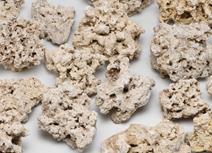 海缸花费,海缸入门