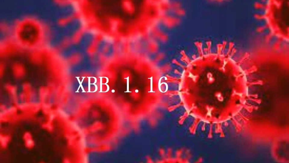新冠病毒xbb1.5感染后症状,新冠病毒xbb1.16能检测吗