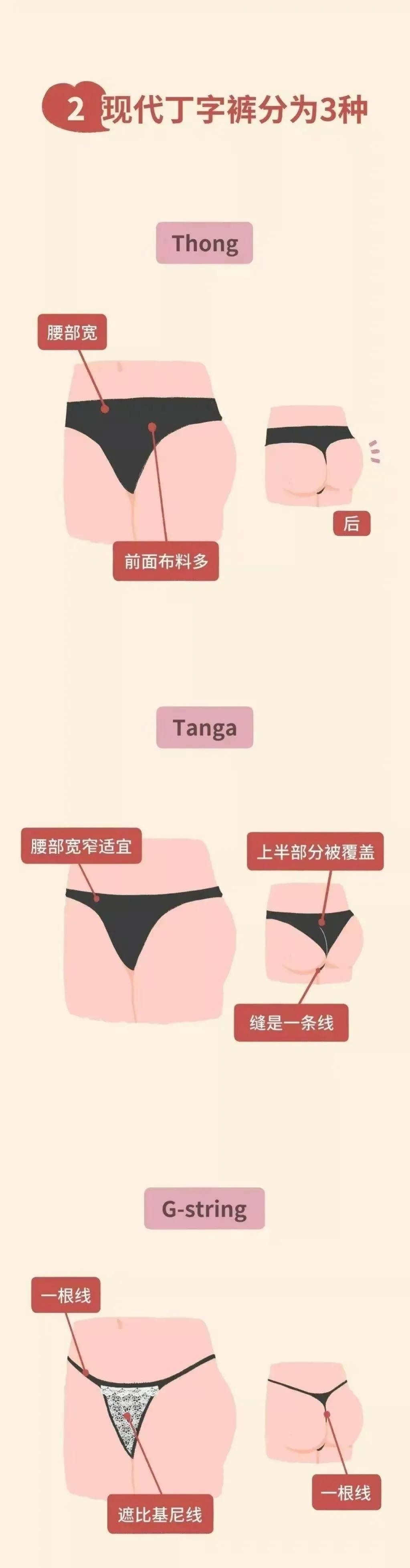 穿丁字裤勒屁股？为什么女生都喜欢穿。（漫画揭秘）