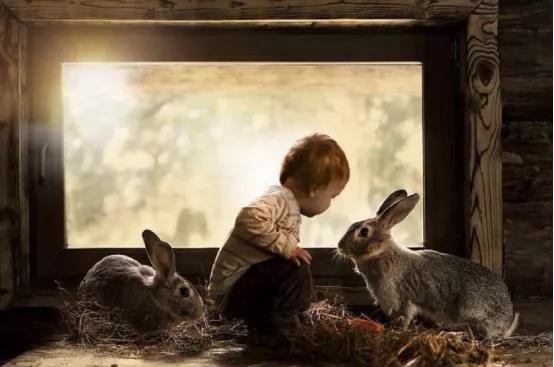 菜吧：采摘、垂钓、认养做不好？这样升级还能找条活路