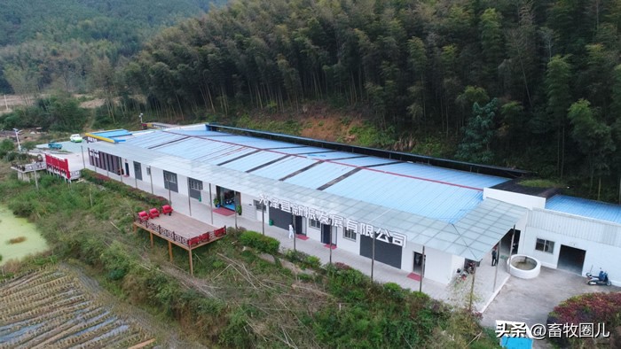 圣农集团千亿产业集群,圣农集团的党建学习