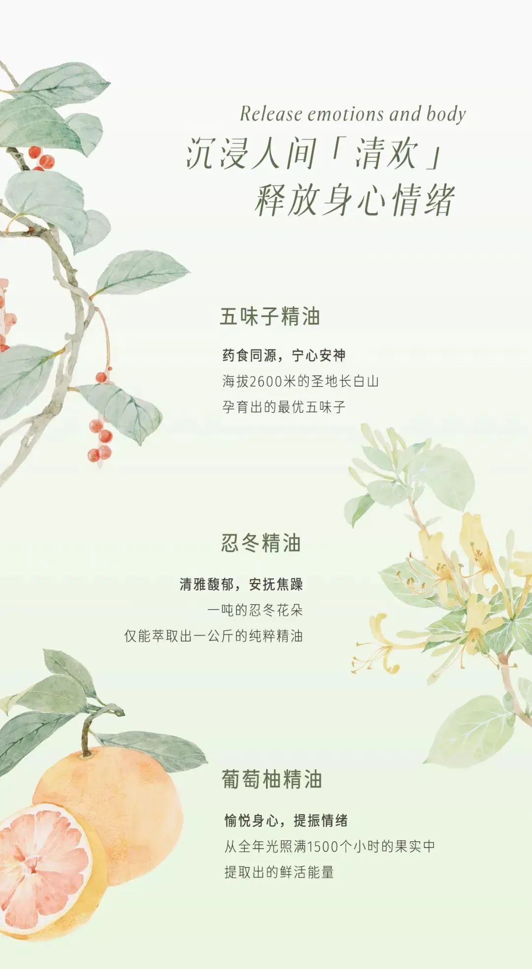 fanbeauty面膜产品测评,fanbeauty一共多少款面膜