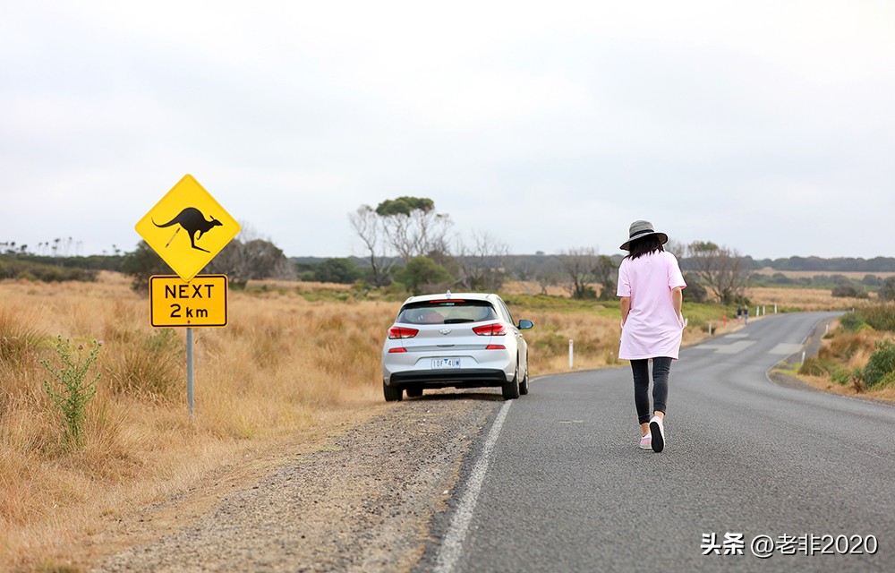 旅游景点的奇葩路牌指示,旅游景点有意思的指示路牌大全