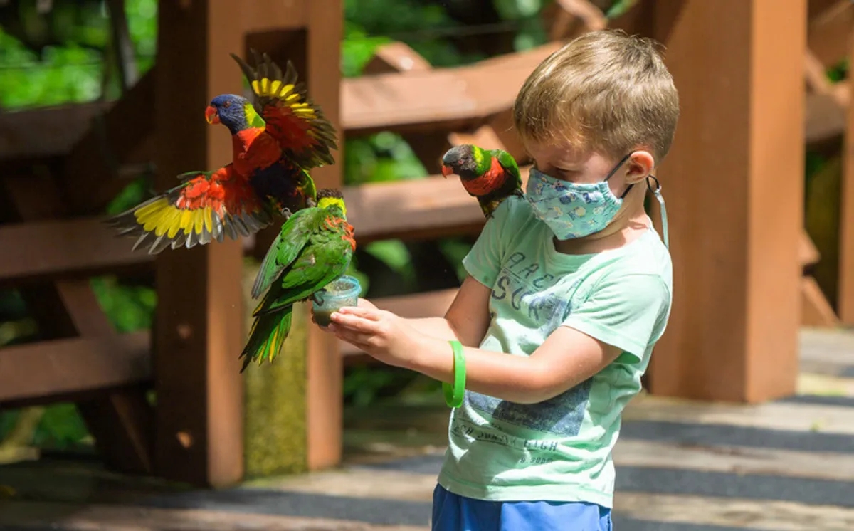 儿童节可以带小朋友们哪里玩,儿童节遛娃