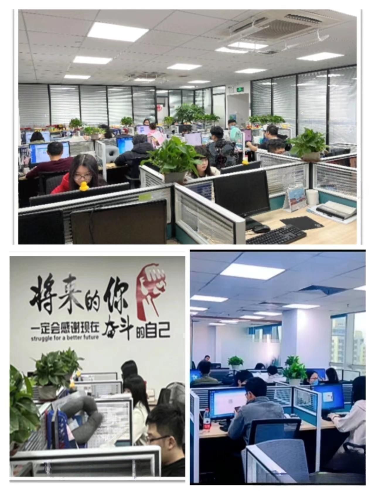 3类危险品松节油UN1299深圳海运出口代理