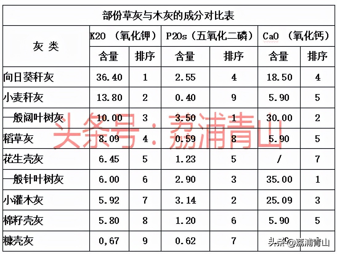 去年的草灰碱水还能用来做粽子吗,灰水粽的碱水用什么植物来做