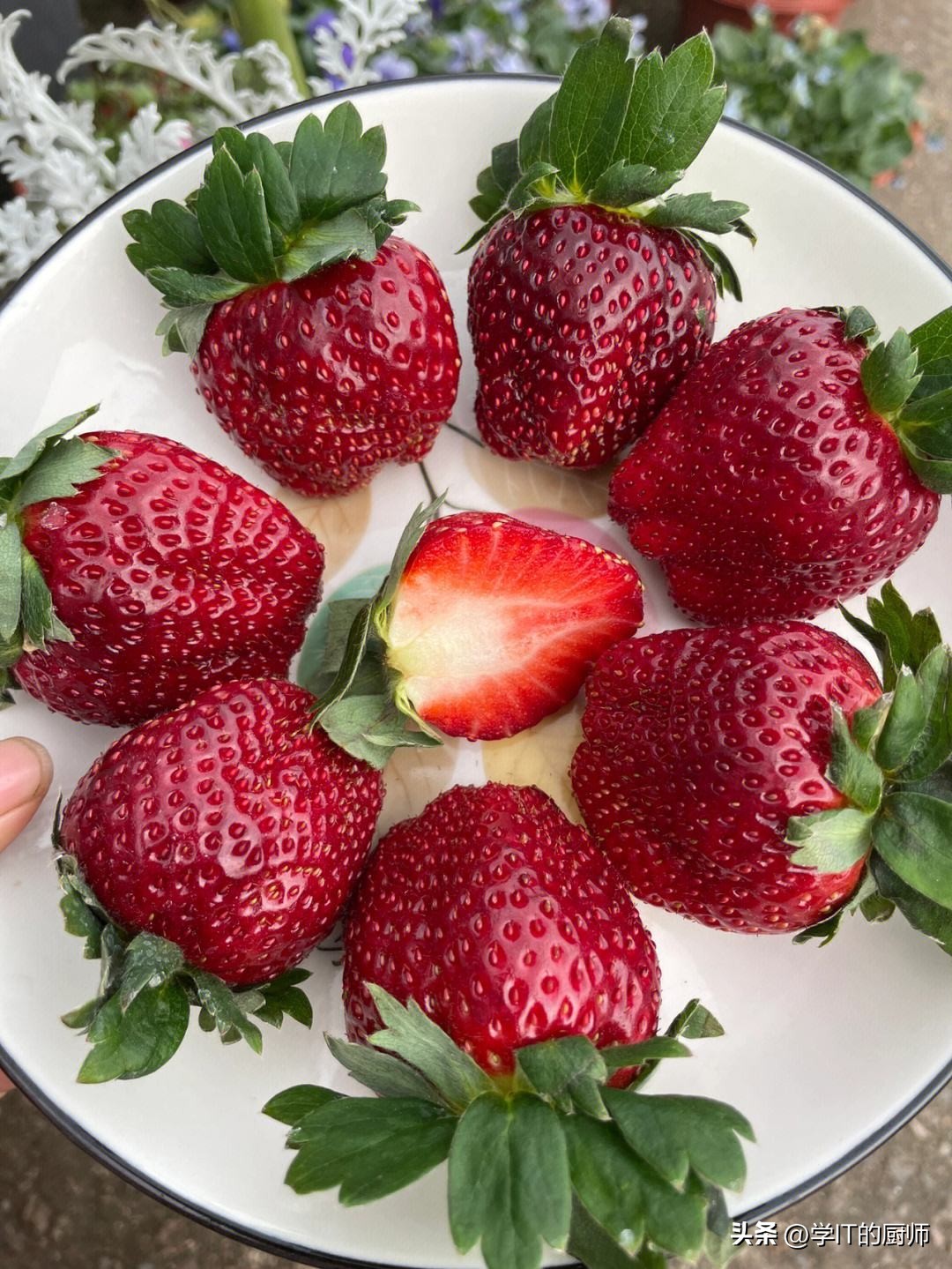 种植水果怎么开网店赚钱,发展特色水果种植带动老百姓增收