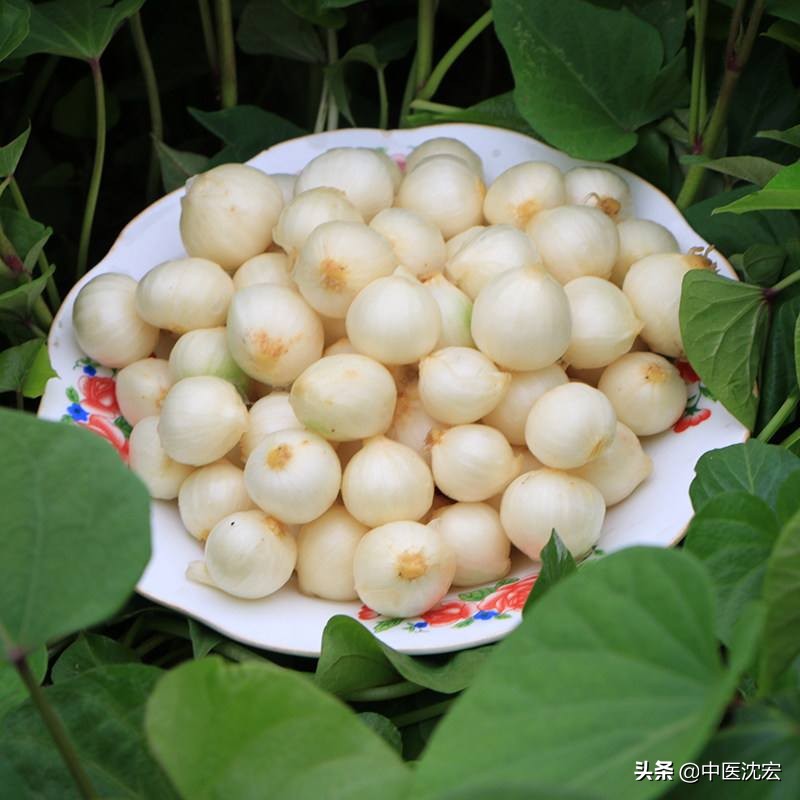 疏肝泻火调脾中成药,疏肝泻火补脾最好的中药丸