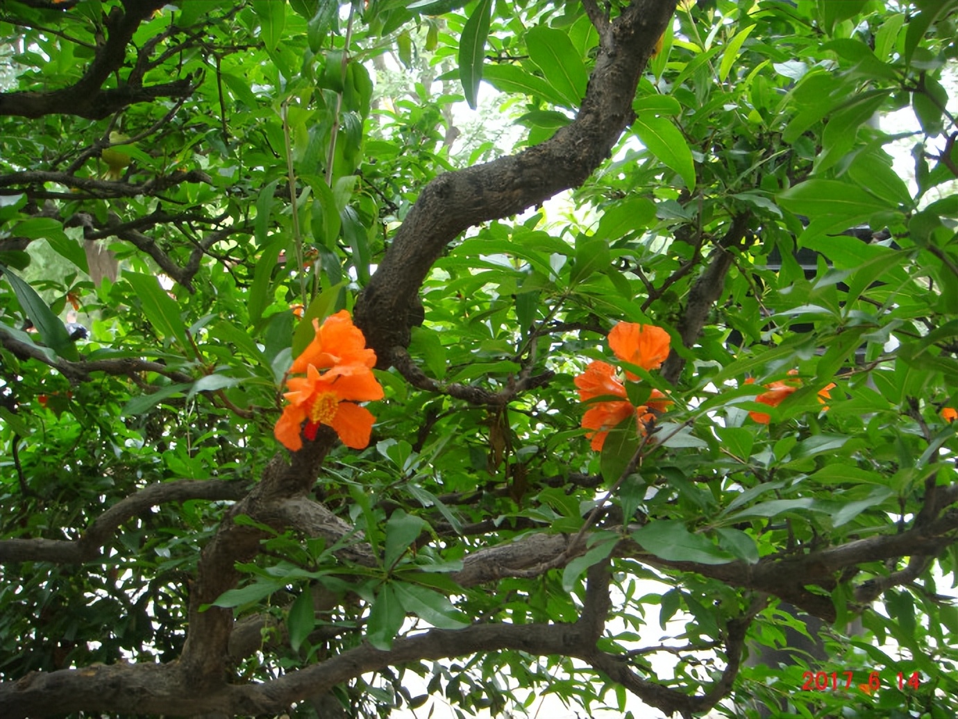 中国自驾西伯利亚的路线地图,2017年朝鲜之旅