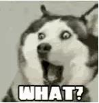 怀孕晚期阴道出现水性分泌物，是要生了吗？常见原因有哪些？