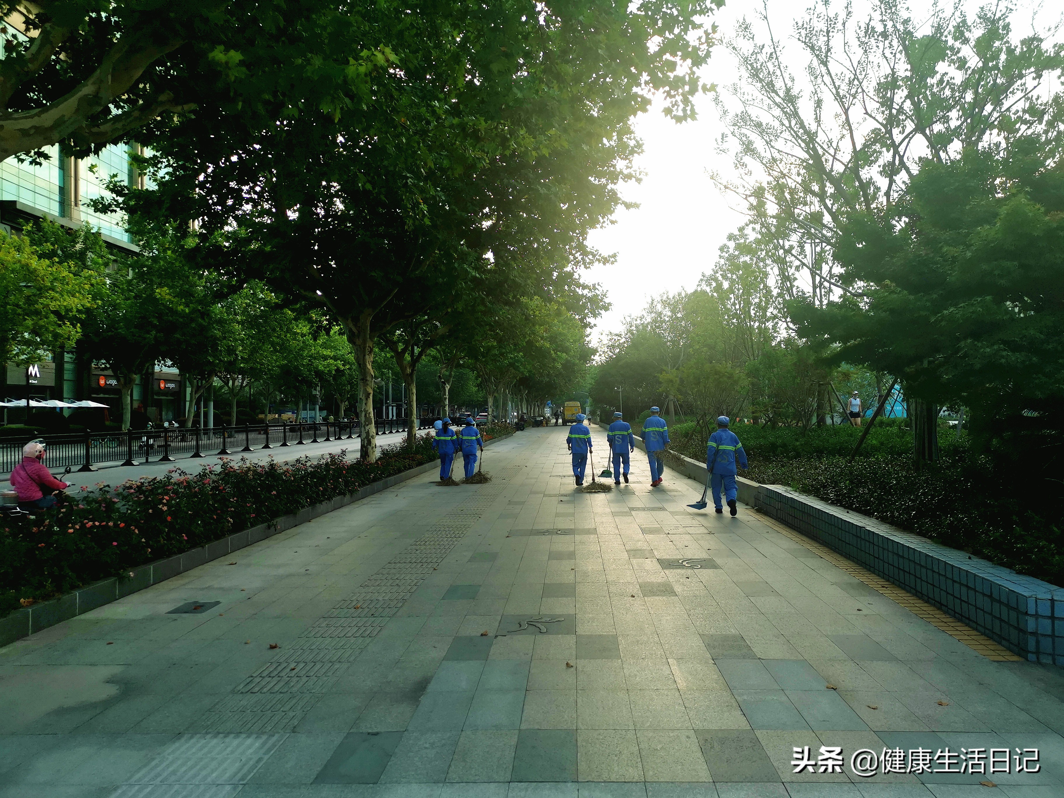 上海运动公园,上海徐汇区哪些公园可以运动