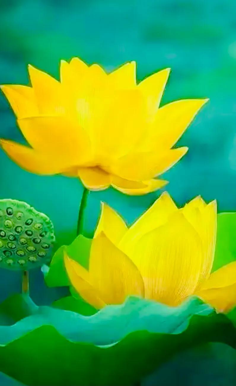 三步静心法,三步解决烦恼