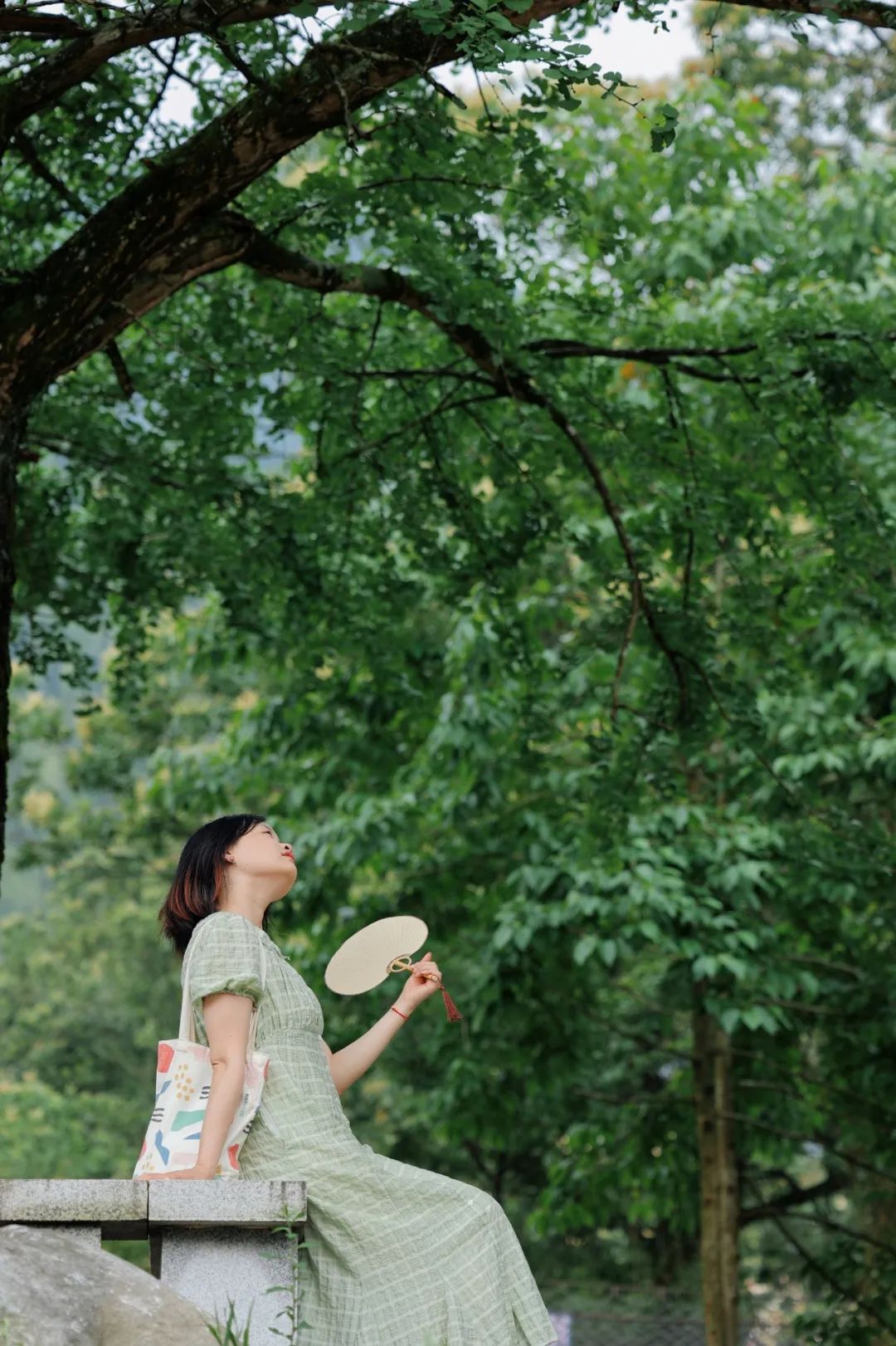 这份避暑指南请你收好,夏天必去武功山