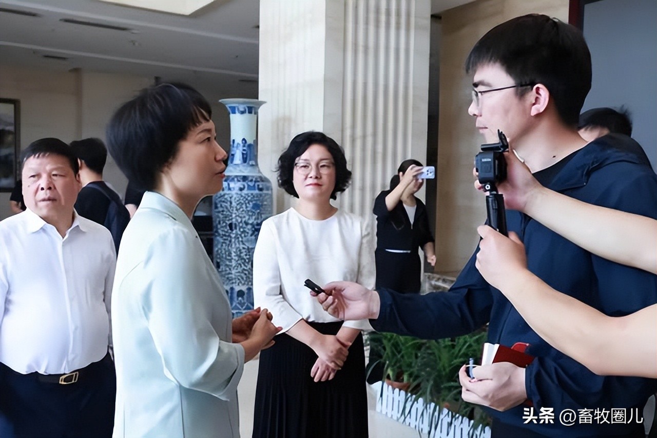 st华英今年能否摘帽,华英摘帽的可能性大吗