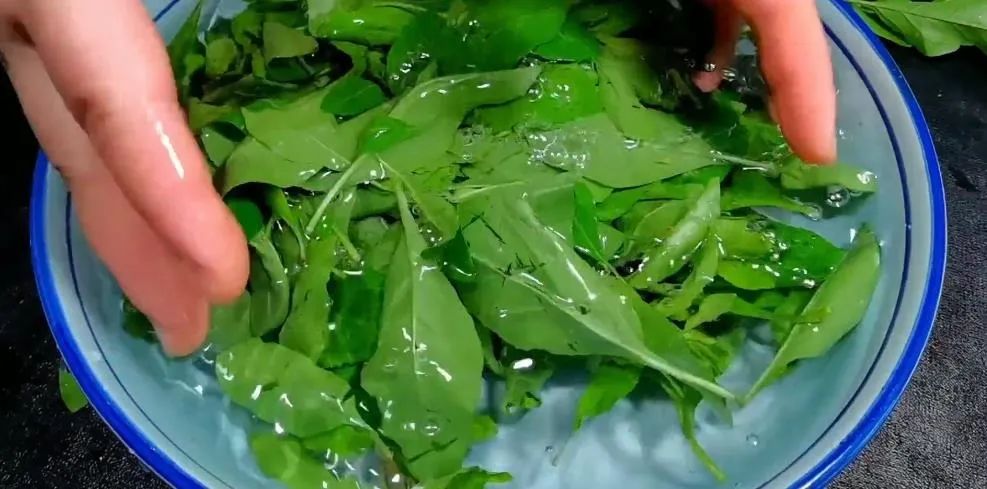 鹿茸补肾阳虚几天有效果,鹿茸补肾益精吃法