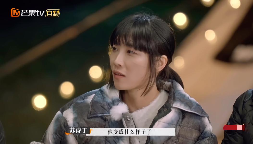 苏诗丁和卢歌再见爱人结局,再见爱人2苏诗丁和卢歌复合了吗