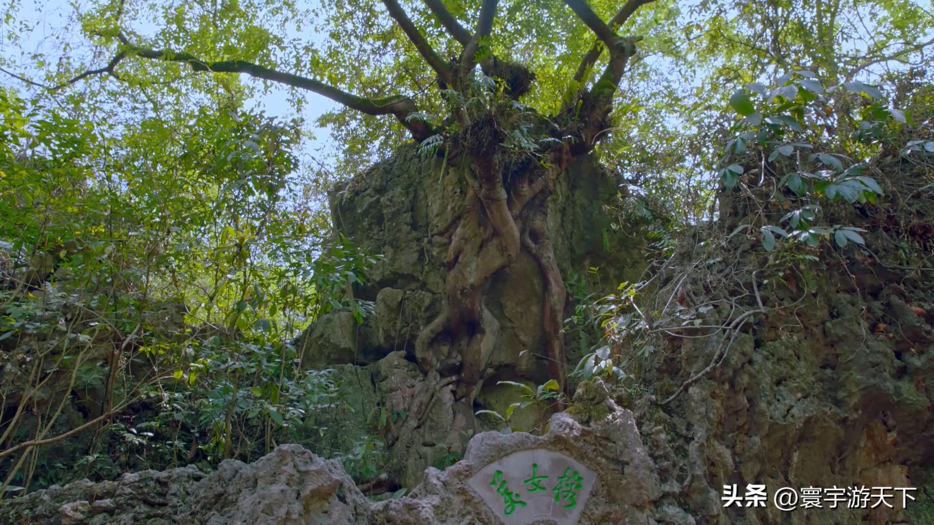 旅游第三站打卡4a景点黄果树瀑布,黄果树瀑布自由行旅游攻略