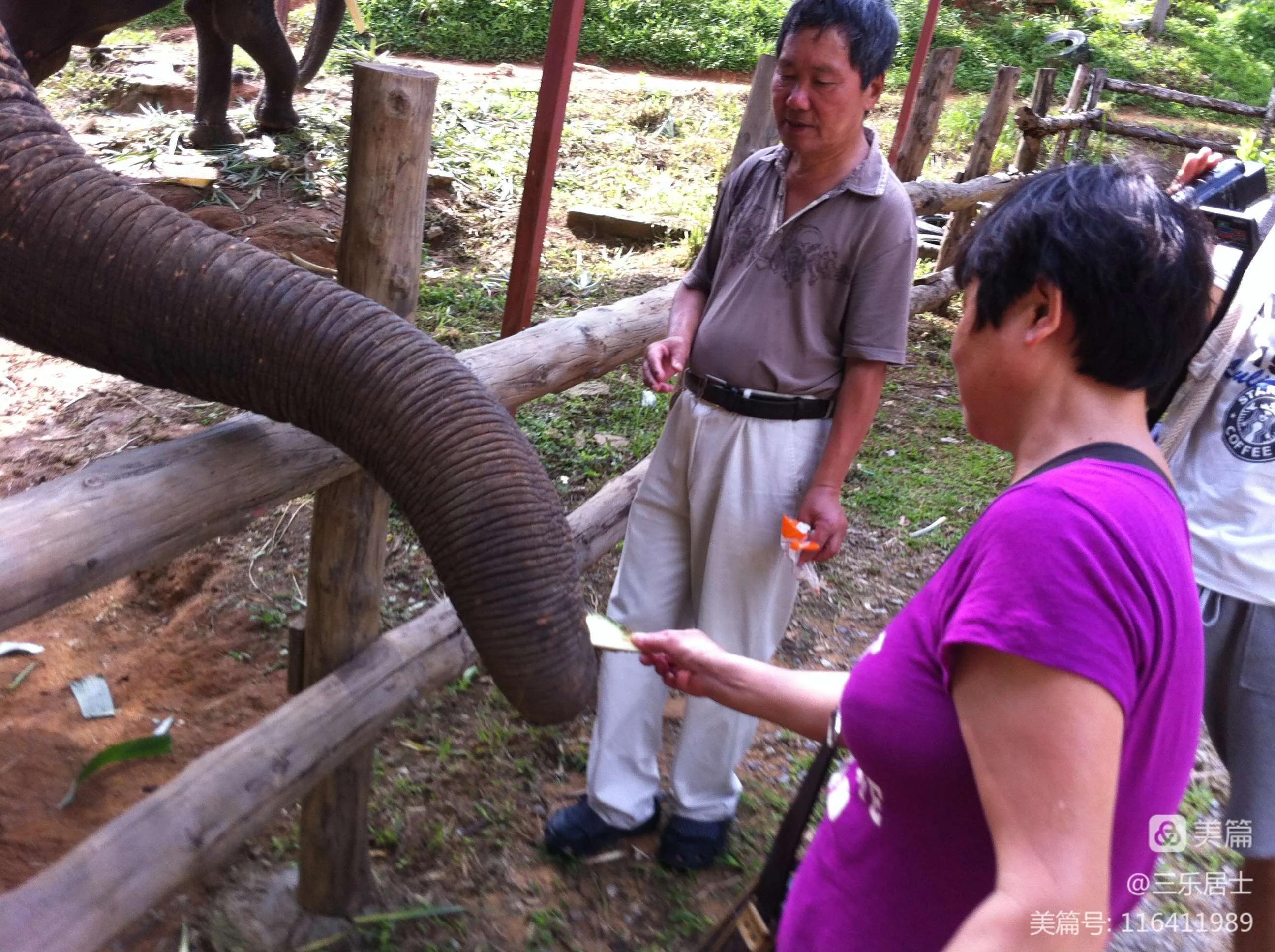 泰国普吉岛旅游攻略贴吧,泰国跟团普吉岛曼谷