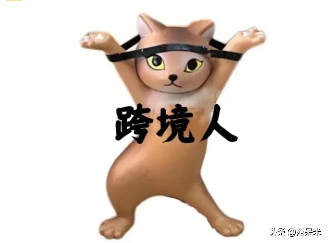 跨境电商成本比较高的产品,跨境电商分析费用