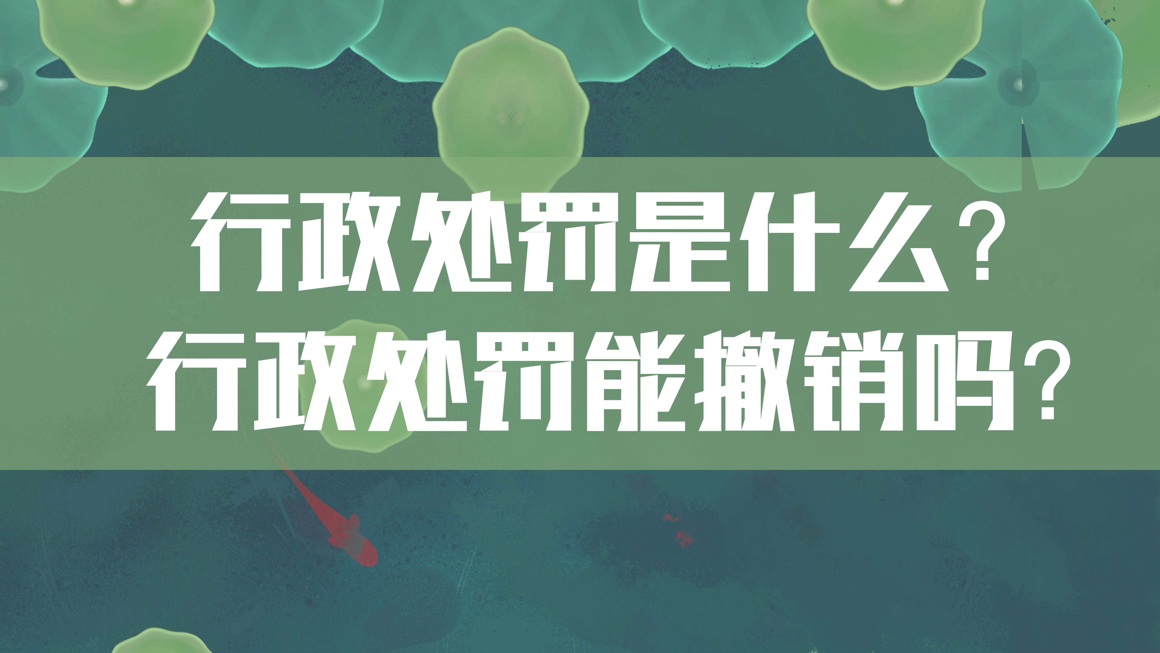 行政处罚撤销后能再次处罚吗,撤销行政处罚重新作出行政处罚