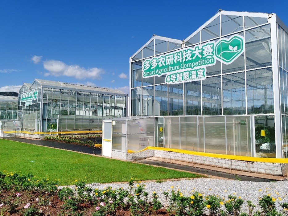 拼多多2022年q2第二季财报前瞻,拼多多二季度财报大超预期