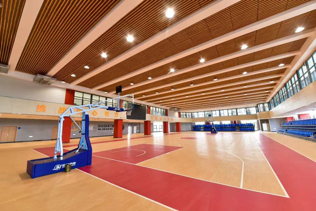 王金战教育子女方法,教育专家王金战