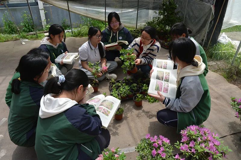 嘉善新世纪学校2024年招生,嘉善县重点建设的学校