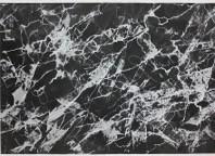 “FossilsDance－太古⽯的舞痕”