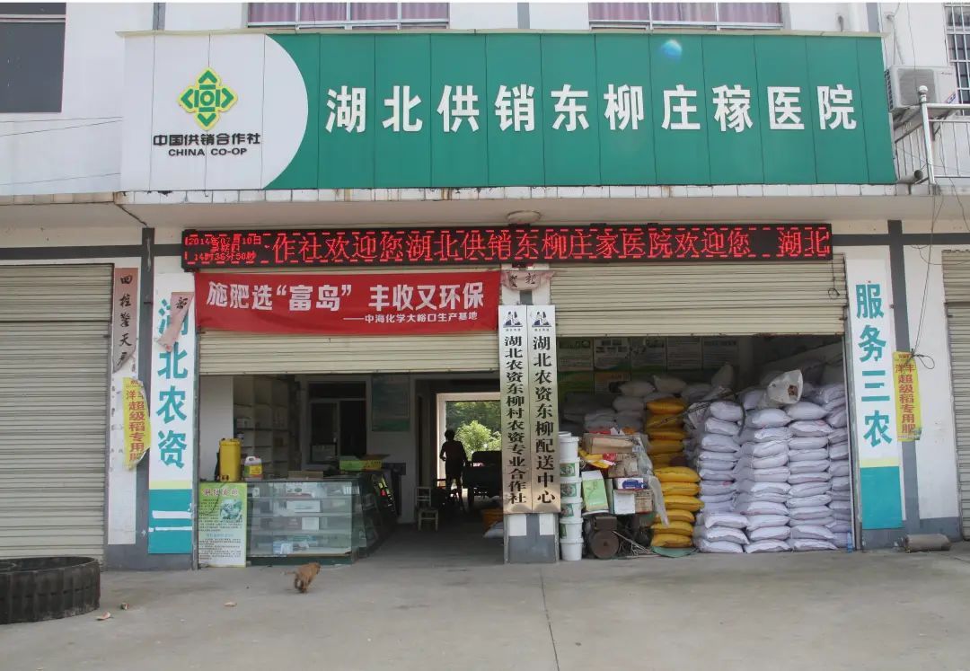 渠道惶恐：供销社重装冲击波，酒业怎么看、怎么办？