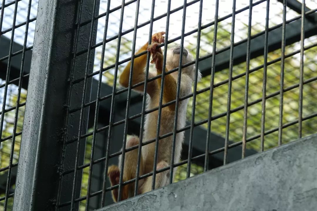 泰州动物园在哪里,泰州动物园在哪