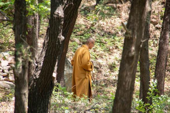 当代有哪些苦行僧人,僧人出家之前经历的磨难坎坷