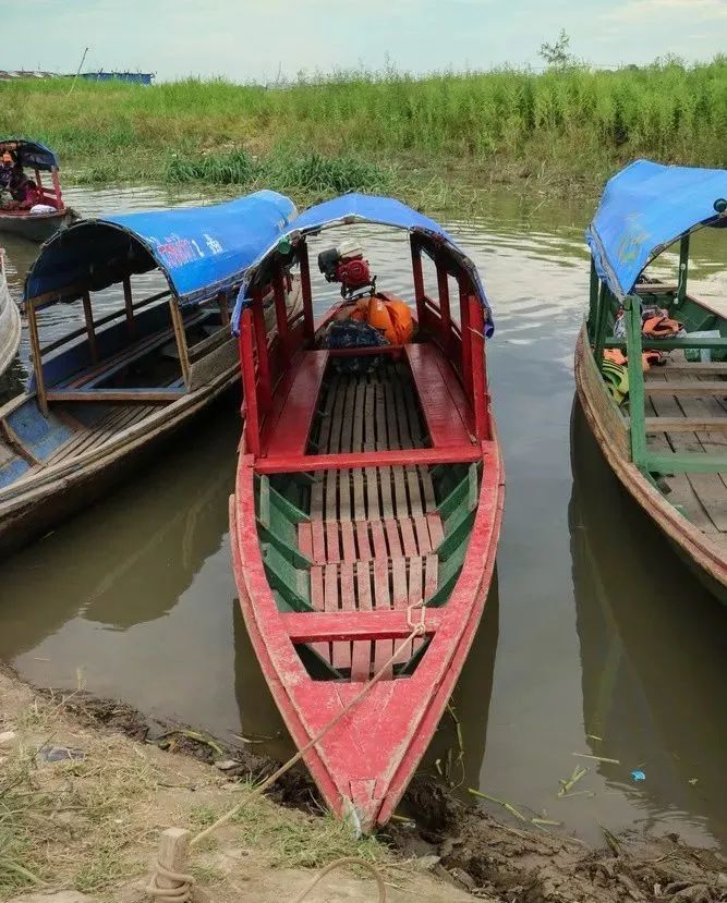 刚试了一下中华文字果然博大精深,涨知识了快来看看中国文字的魅力