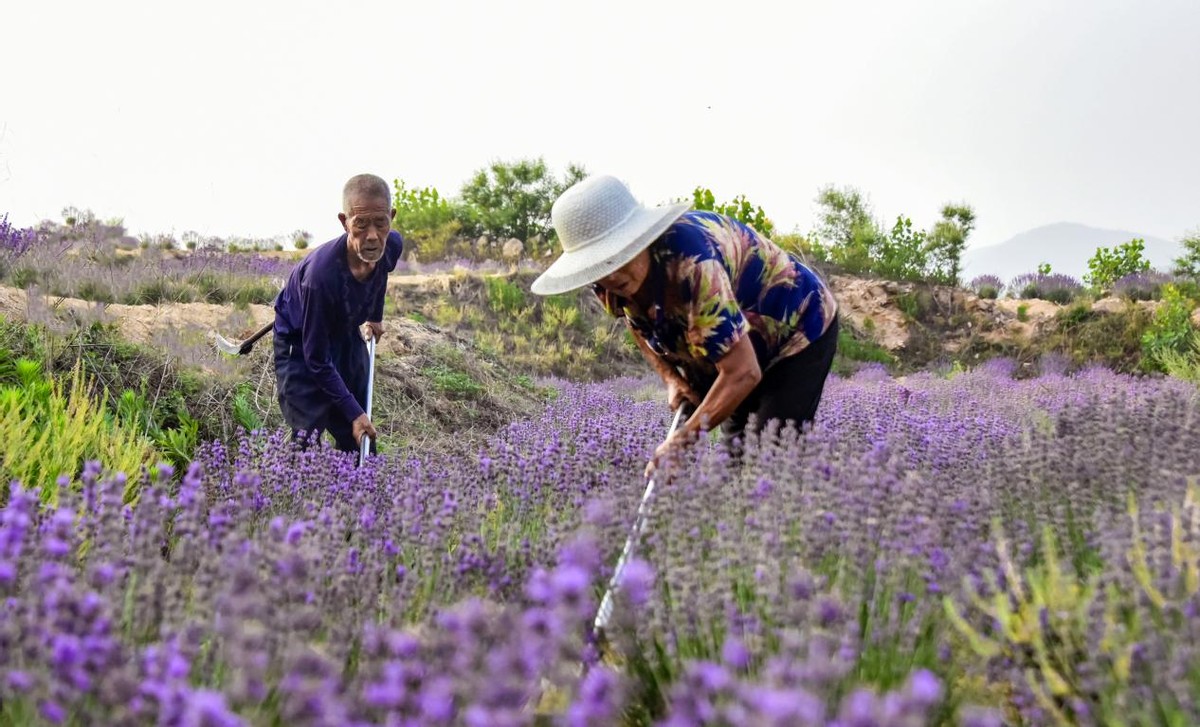 小镇风云西班牙,小镇风云冰封