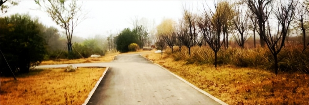 轩逸悦享款驾驶体验,轩逸悦享驾驶感受