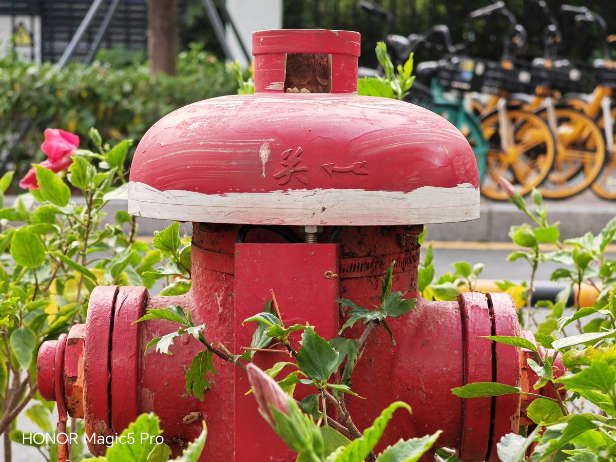 直男拍照片怎么拍出高级感,直男高级感拍照技巧