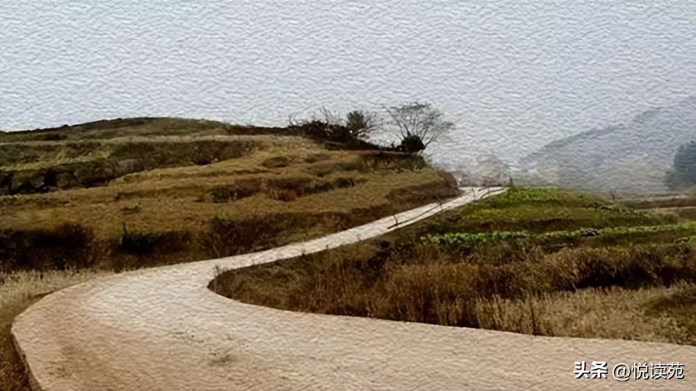 阿树哭的视频,阿树伤感剪辑