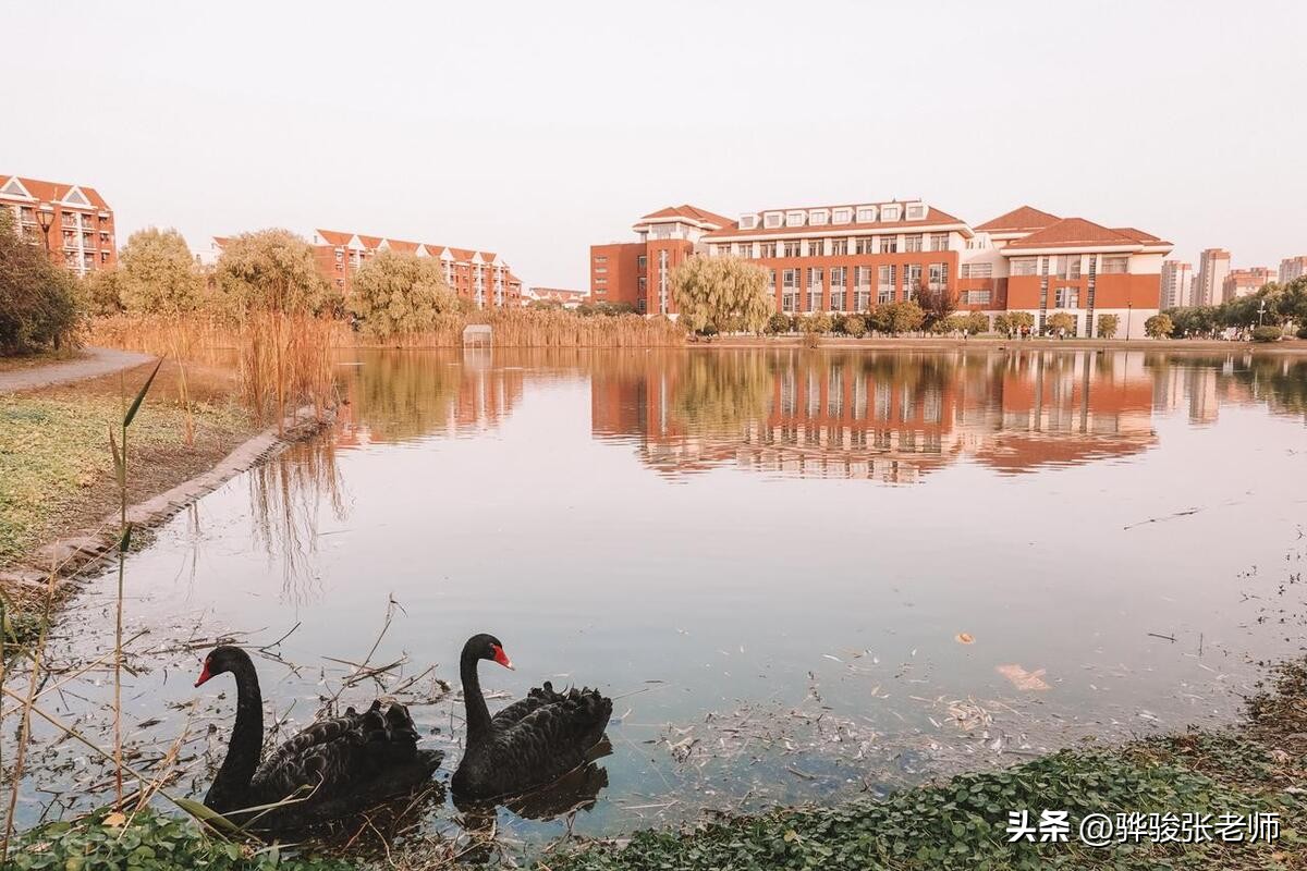 文科生学什么专业比较有前途,文科生大学到底学什么专业好