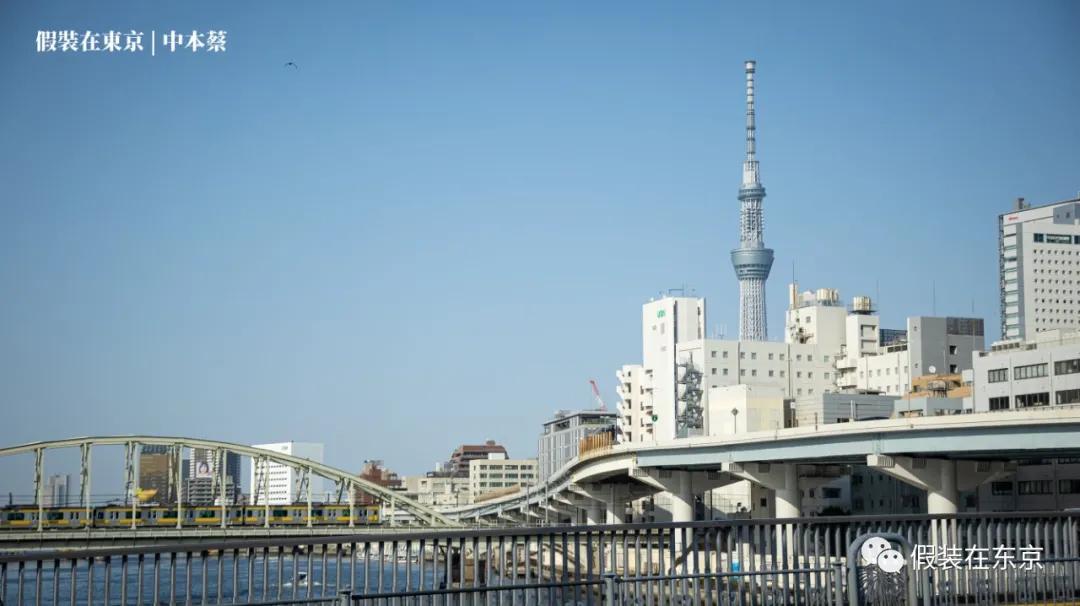 365张照片回顾,365张相片