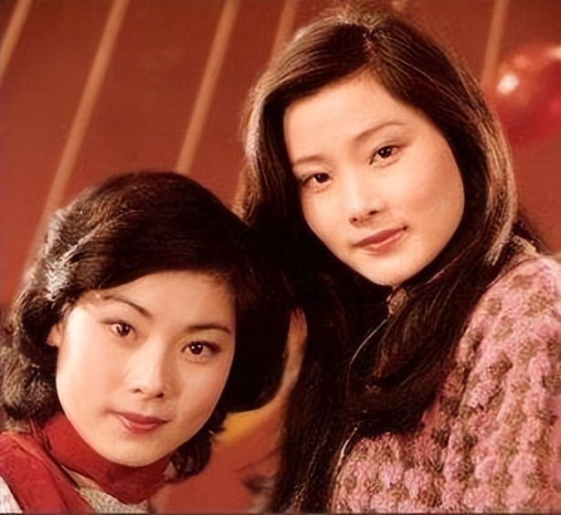 李冰冰姐妹花在娱乐圈打拼靠什么,李冰冰有多少财富