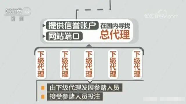 男子赌阿根廷的球输了1800万,90后干部赌球欠债2千万