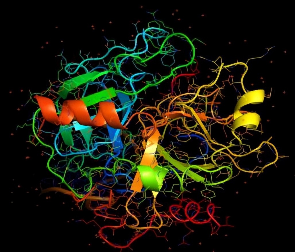 生物信息学专业最好的20所大学,生物信息学属于什么医学