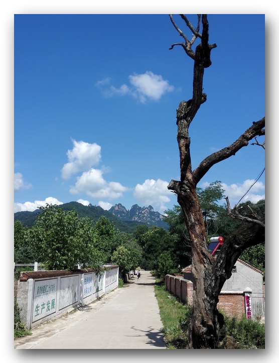 枫丹白露中国,探访中国最北漠河